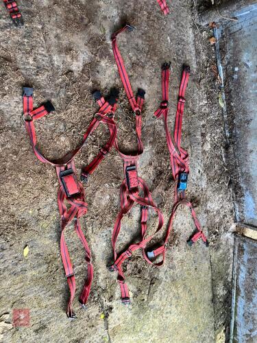 3 X RAM HARNESS'S