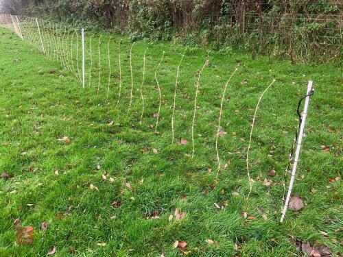 APPROX 45M OF SHEEP FLEXINET