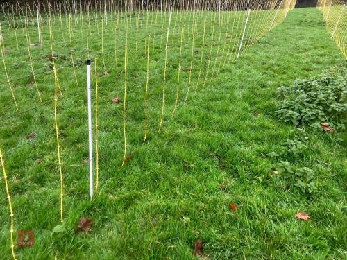 APPROX 45M OF SHEEP FLEXINET