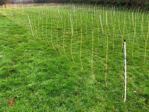APPROX 45M OF SHEEP FLEXINET
