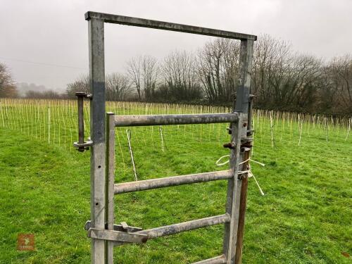 GALVANISED CATTLE RACE GATE