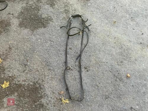 BRIDLE & REINS