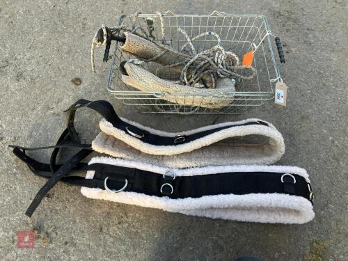 TRAINING HARNESS