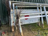 CROSS COUNTRY &lsquo;START BOX&rsquo; - 2
