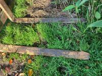 SLEWTIC PALLET FORKS - 7