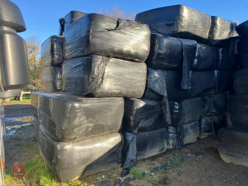 35 X 2025 RECTANGULAR BALES OF HAYLAGE - BIDS PER BALE