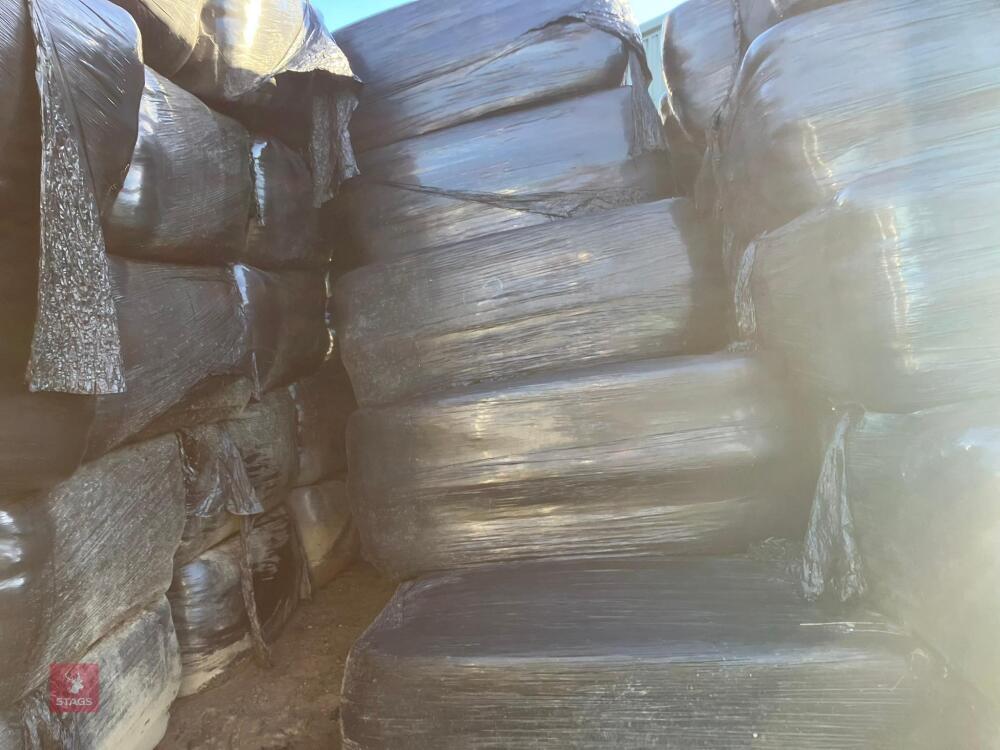 21 X 2024 RECTANGULAR BALES OF HAYLAGE - BIDS PER BALE