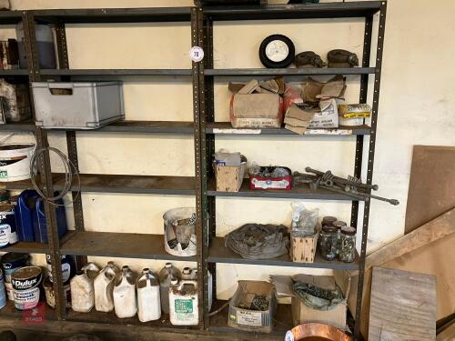 SELECTION OF NAILS/BOLTS (70)