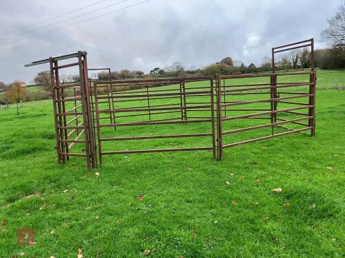 METAL CATTLE HANDLING SYSTEM