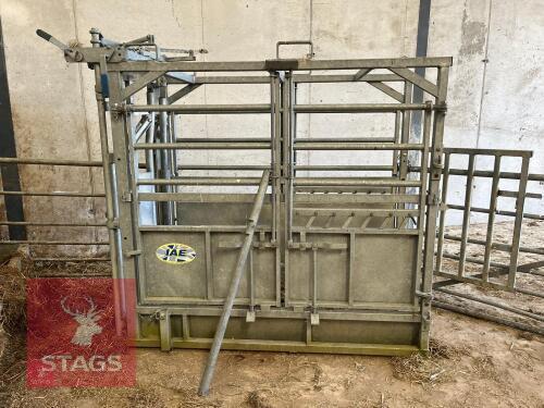 IAE GALVANISED CATTLE CRUSH