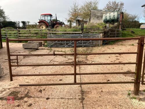 10' HEAVY DUTY YARD GATE