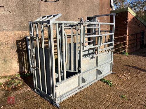 BATEMAN GALVANISED CATTLE CRUSH