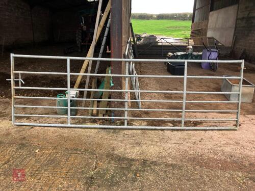 GALVANISED 12' FIELD GATE