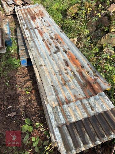 APPROX 23 SHEETS CORRUGATED IRON