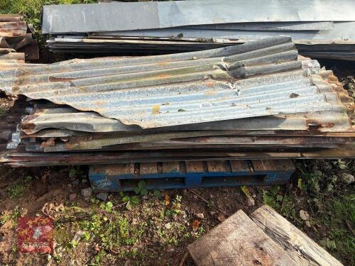 APPROX 25 SHEETS OF CORRUGATED IRON