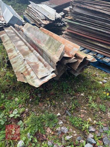 21 METAL RIDGES (S/R)