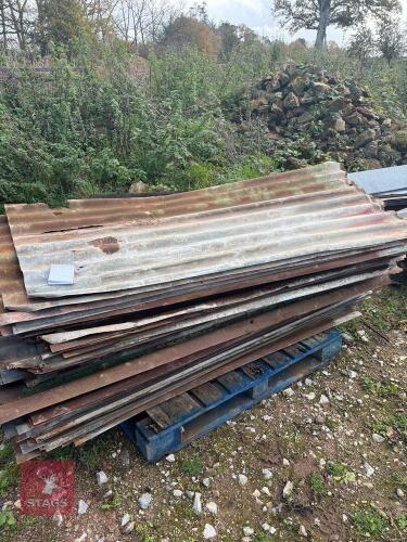 75 SHEETS OF CORRUGATED IRON