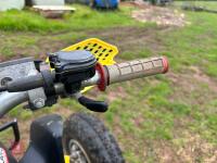 HONDA TRX450R RACING QUAD BIKE - 17