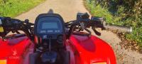 2017 HONDA TRX250TE 2WD QUAD BIKE - 3