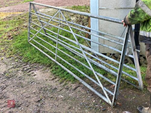 2 X 12' GALVANISED FIELD GATES
