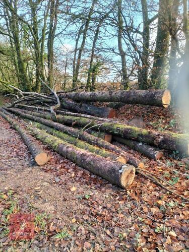 PILE OF FIREWOOD