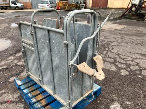IAE CALF DE-HORNING CRATE