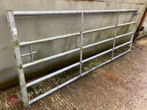 10' YARD GATE