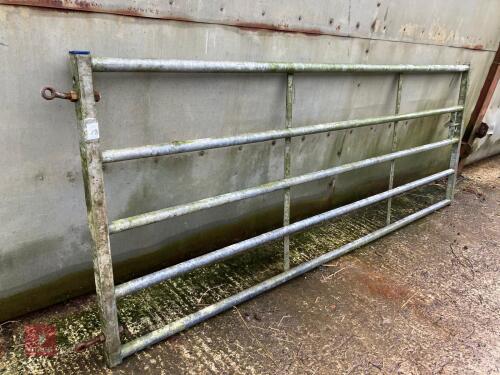 10' YARD GATE