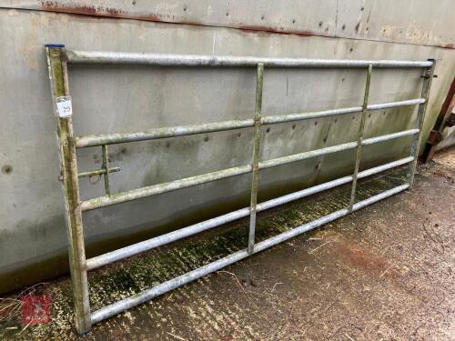 10' YARD GATE