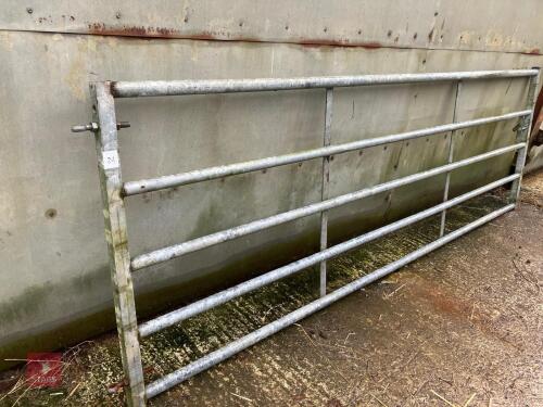 11' 5'' YARD GATE