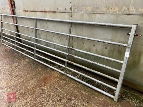 15' 1'' FIELD GATE