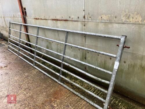 15' 1'' FIELD GATE