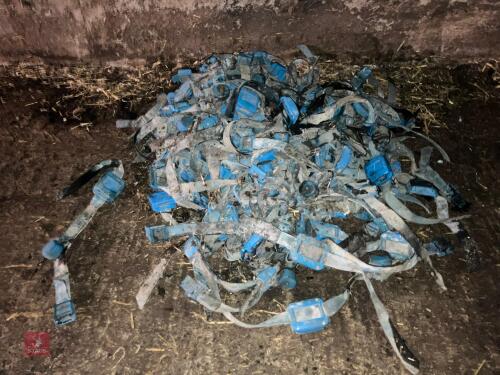 60+ DAIRYMASTER COW COLLARS