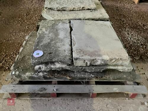 4 ASSORTED LIAS FLAGSTONES (36)