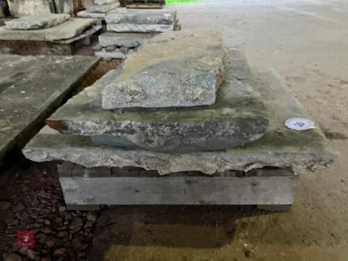 ASSORTED LIAS FLAGSTONES (35)