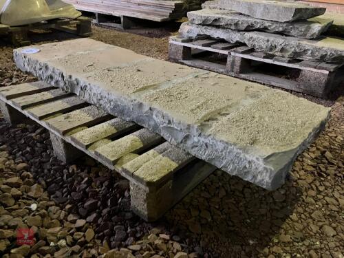 BLUE LIAS FLAGSTONE (30)