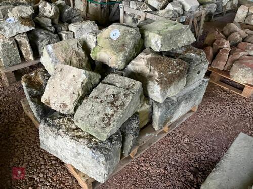 PALLET OF WHITE LIAS STONE (49)