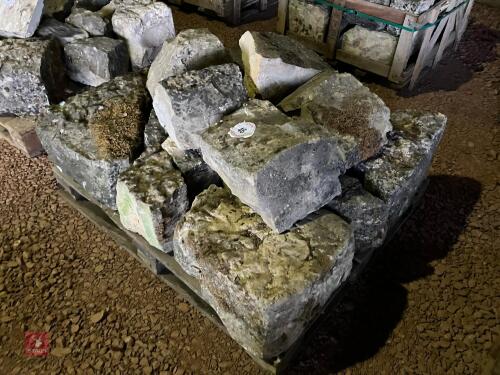 PALLET OF WHITE LIAS STONE (46)