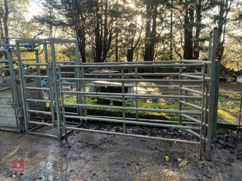 CATTLE RACE GATES & KIOSK