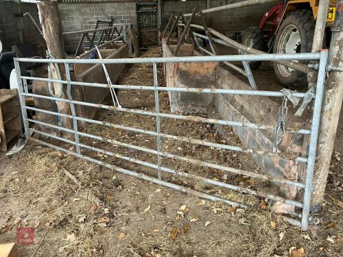 RITCHIE 12' GALVANISED GATE