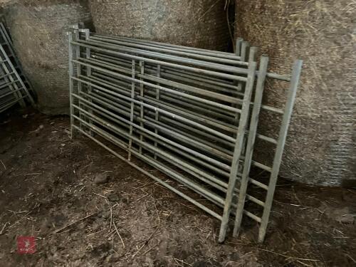 6 GALVANISED 6' SHEEP HURDLES