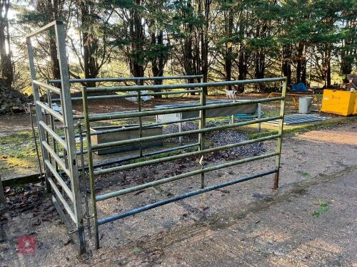 CATTLE RACE PEN GATES & GATE
