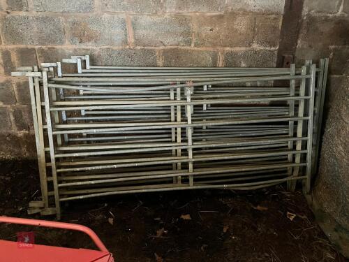 7 GALVANISED 6' SHEEP HURDLES