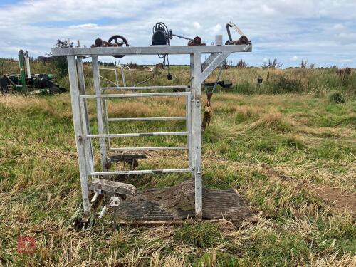 CATTLE FOOT TRIMMING CRUSH S/R