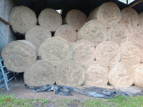 50 ROUND BALES OF 1ST CUT 2025 HAY - BIDS PER BALE