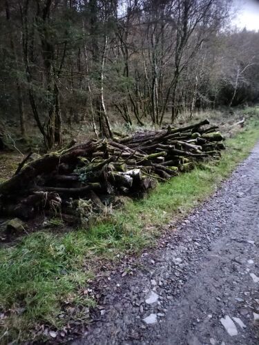 PILE OF HARDWOOD