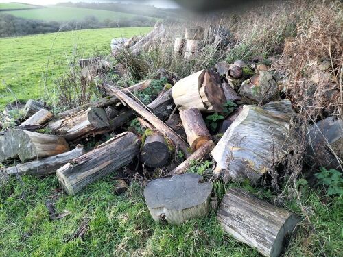 LARGE PILE OF FIREWOOD