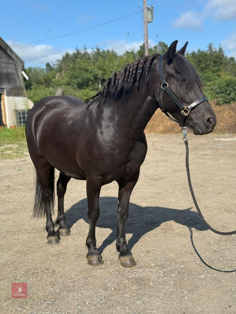 REMOVED FROM SALE DUE TO UNFORSEEN CIRCUMSTANCES
