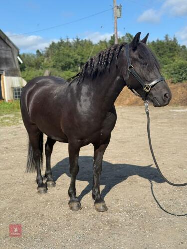 REMOVED FROM SALE DUE TO UNFORSEEN CIRCUMSTANCES