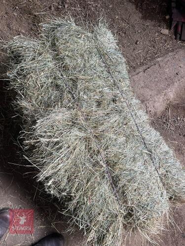 100 CONVENTIONAL BALES 1ST CUT 2025 HAY -BIDS FOR THE GROUP